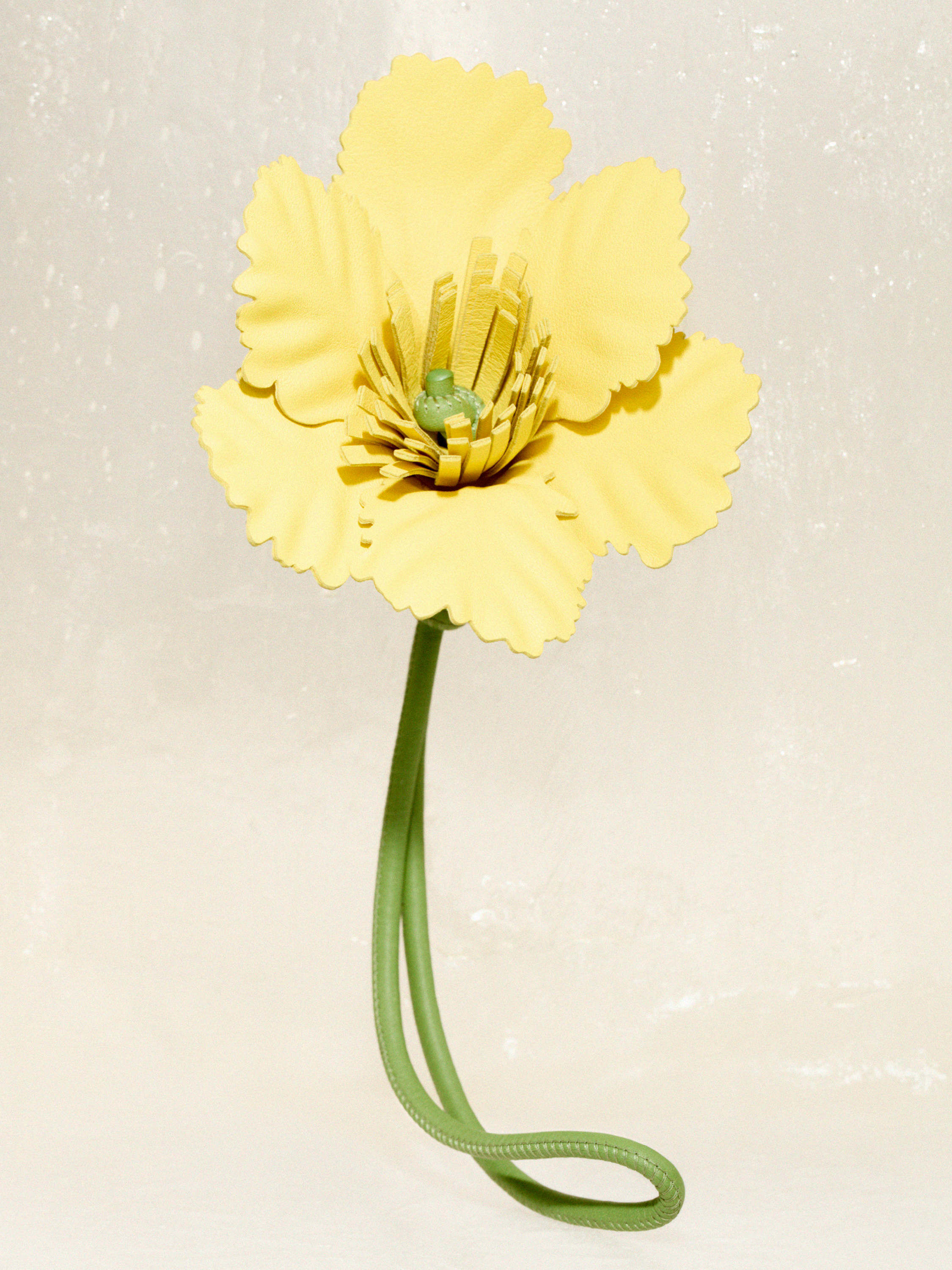 レディース 高級キーリング & バッグチャーム - LOEWE - LOEWE